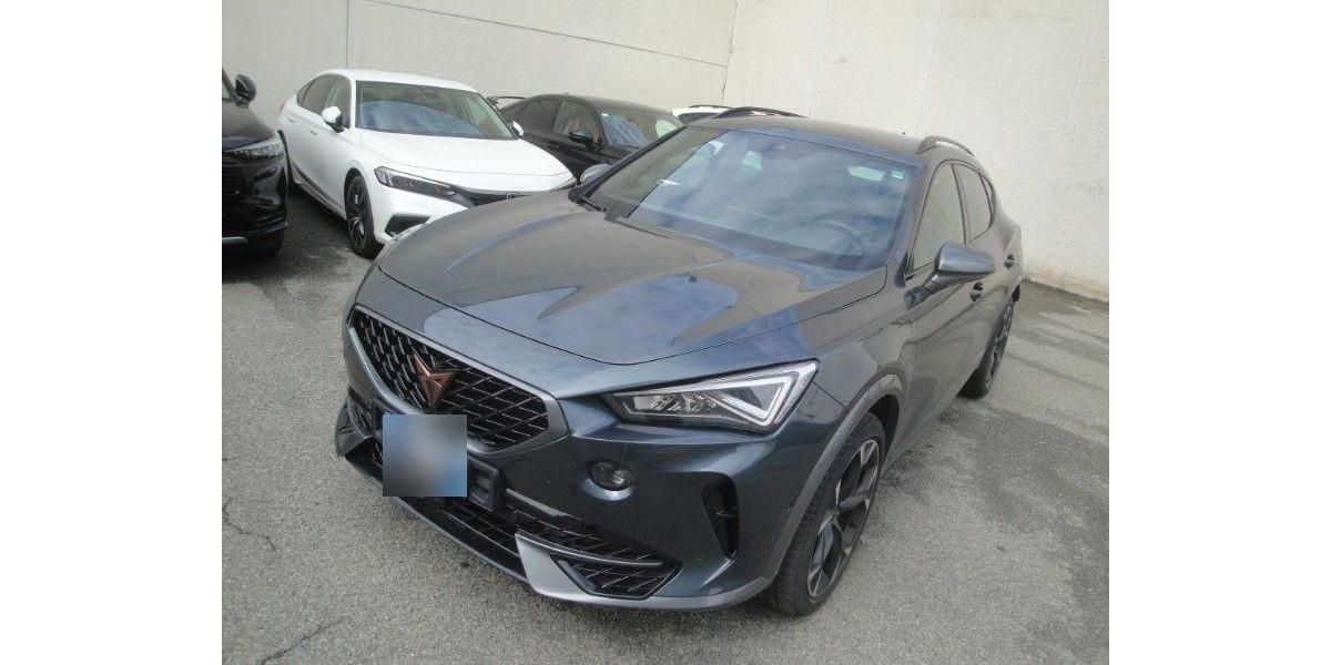 Cupra Formentor 59.614 km 22.915 &euro; Hagen 58091