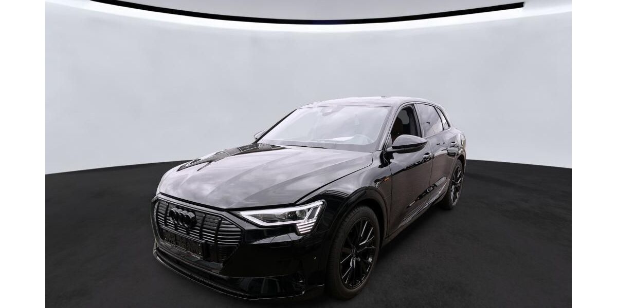 Audi e-tron 32.893 km 31.435 &euro; Hagen 58091