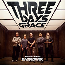 Best Seats Fan Package - Three Days Grace