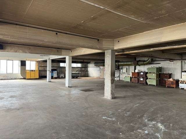 Halle in Remscheid 1.750 € 511 m² zimmer