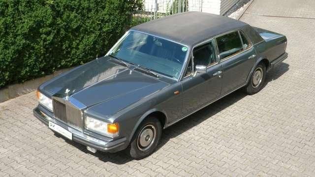 Silver Spur