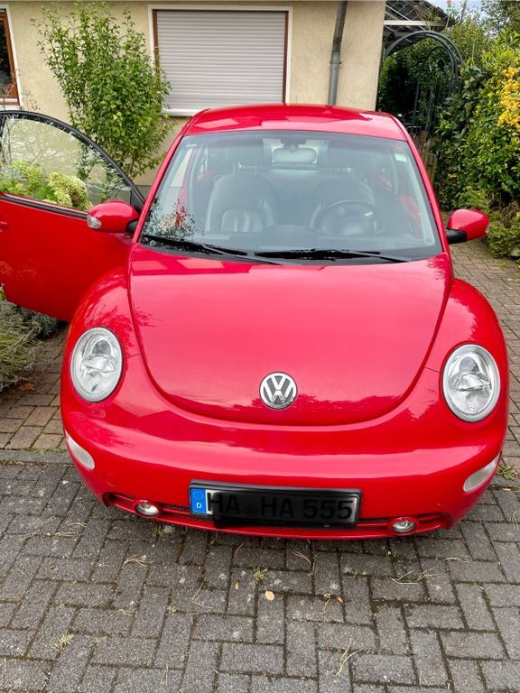 Beetle