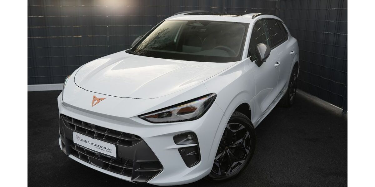 Cupra Terramar 16.046 km 39.449 &euro; Dormagen 41539