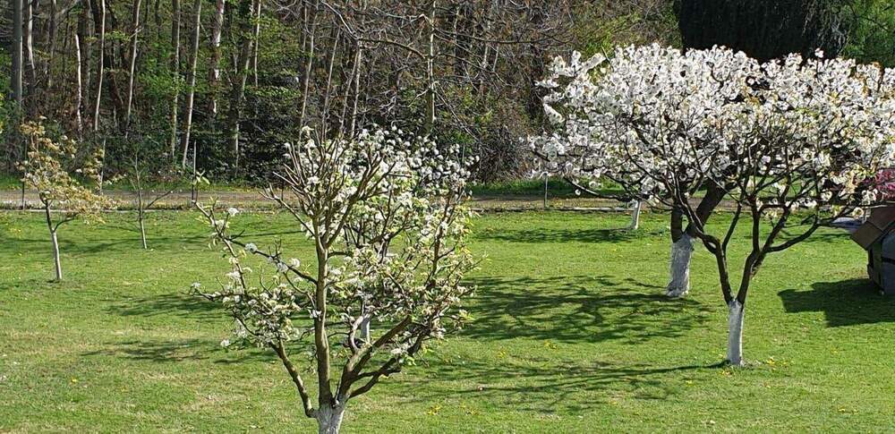 Mehrfamilienhaus, Wohnhaus Hagen Vorhalle - 630.000&euro; | Angebot:24219261