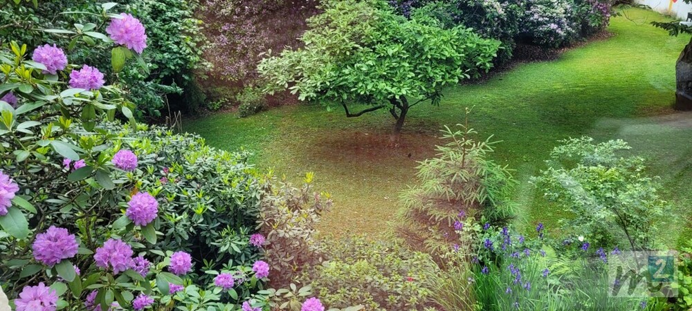 Verkauf von einer Villa in Remscheid-Lüttringhausen - Einfamilienhaus Remscheid Lüttringhausen | Angebot:24849604