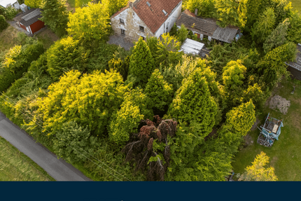 Grundstück zu verkaufen in Essen 485.000 € 1304 m²