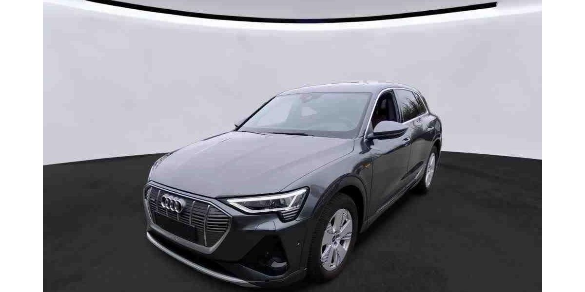 Audi e-tron 36.344 km 38.350 &euro; Hagen 58091