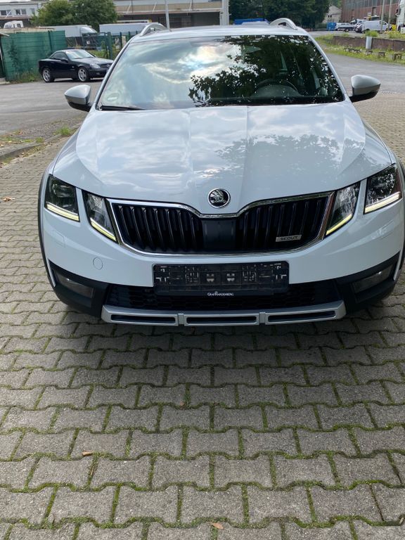 Octavia