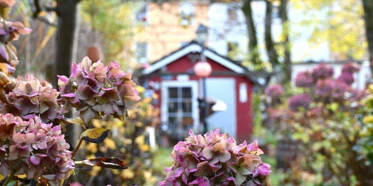 Raum trifft Natur - Großes Einfamilienhaus mit Gartenidylle 6 zimmer