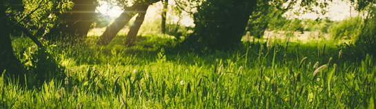 Müngstener Landschaftspark bei Remscheid