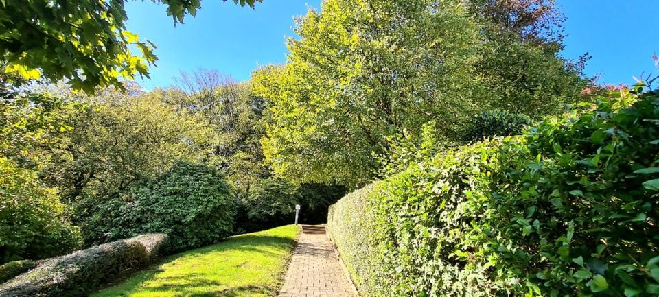 3 Zimmer Penthouse EBK Ausblick , ruhig , zentral 3 zimmer