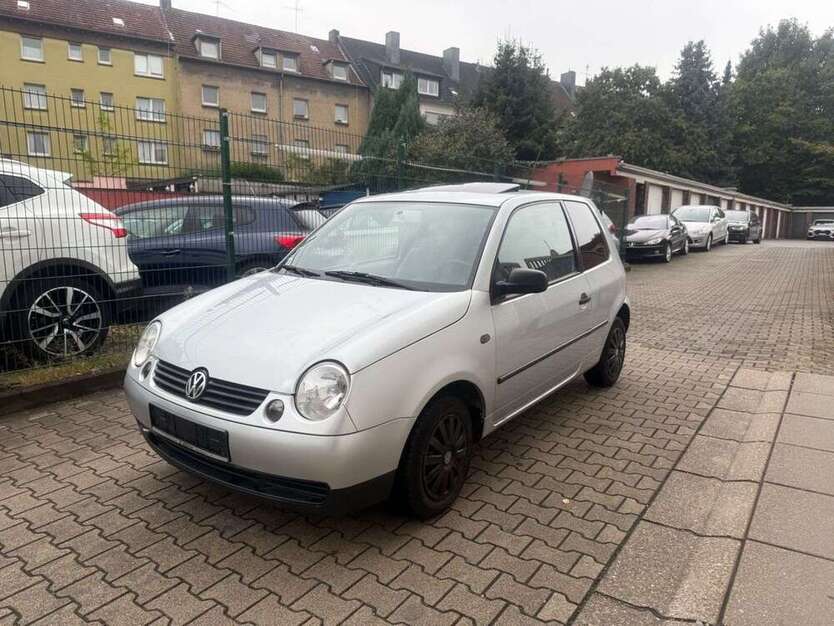 Lupo