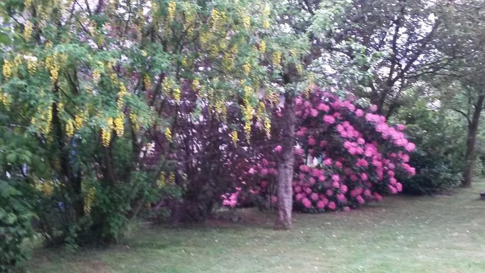 Etagenwohnung Marienheide - 3 Zimmer, 80 m&sup2;, 600&euro; | Angebot:26248858