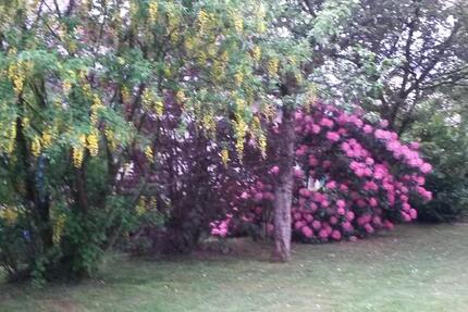 Wohnung Marienheide - 3 Zimmer, 80 m&sup2;, 600&euro; | Angebot:26248858