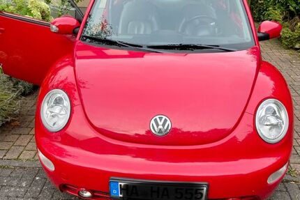 VW Beetle