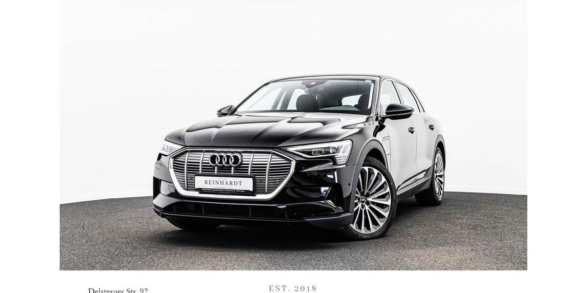Audi e-tron 24.074 km 29.617 &euro; Hagen 58091