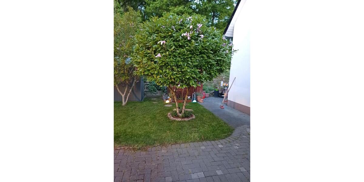 Doppelhaushälfte in 58300 Wetter, ohne Makler, auf Erbpacht 5 zimmer