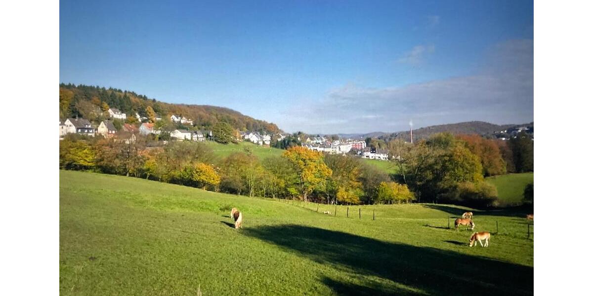 Hochparterre Wuppertal Gemarkung Barmen - 1 Zimmer, 76 m&sup2;, 249.000&euro; | Angebot:26313987