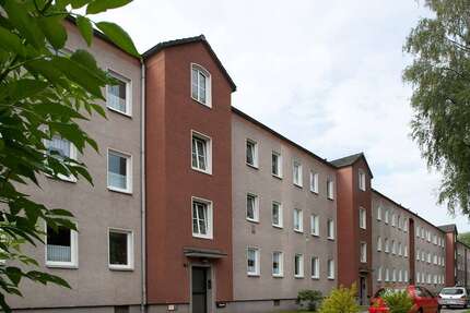 Wohnung zum Mieten in Wuppertal 428 € 53.58 m² 3 zimmer