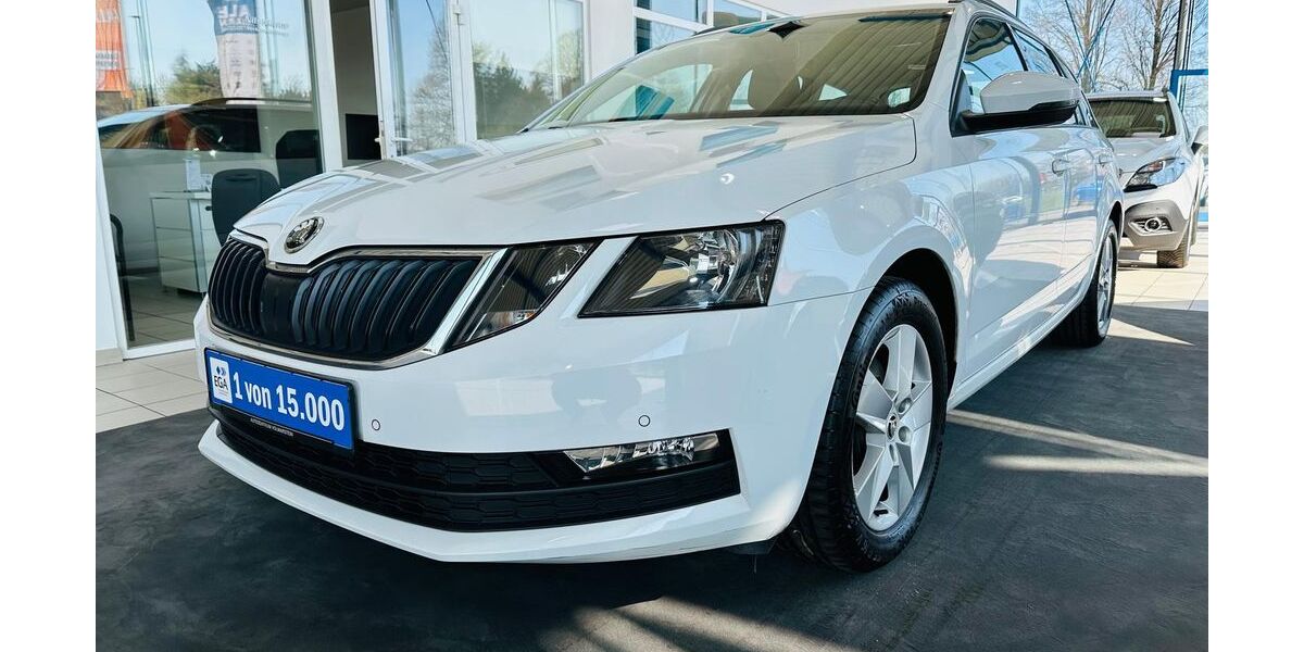 Skoda Octavia 111.225 km 14.440 &euro; Wetter 58300