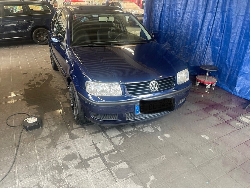 Polo