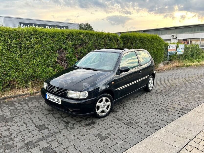 Polo