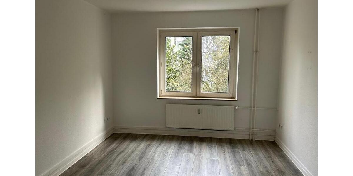 2 Zimmer Wohnung im Erdgeschoss zimmer