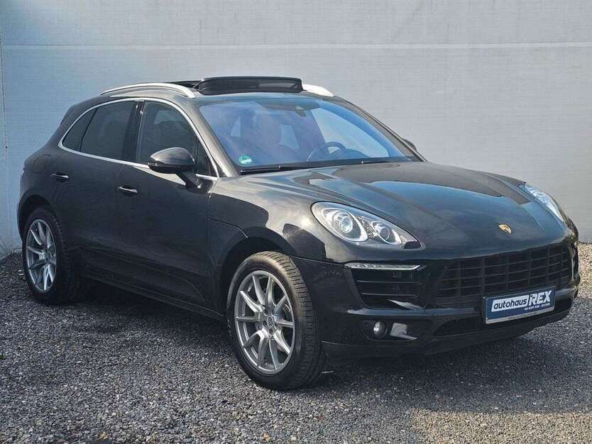 Macan