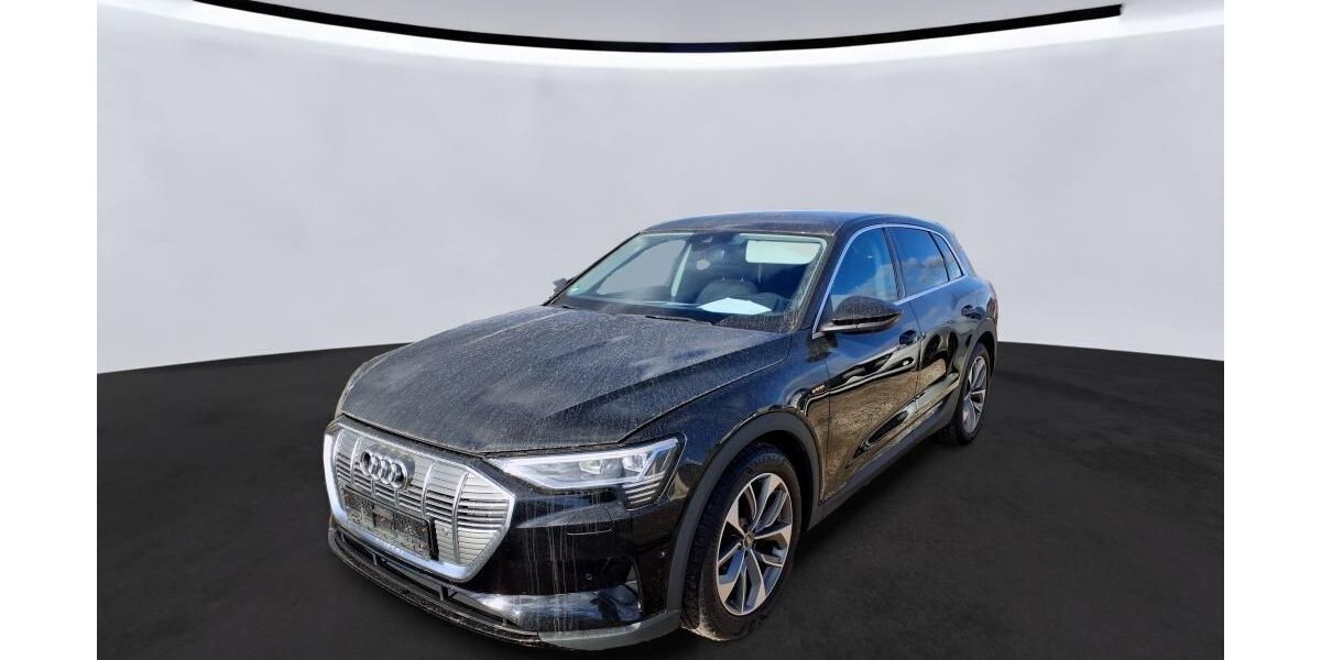 Audi e-tron 49.999 km 25.834 &euro; Hagen 58091