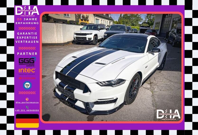 Mustang