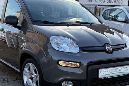 Fiat Panda 30.000 km 10.990 &euro; Dormagen 41539