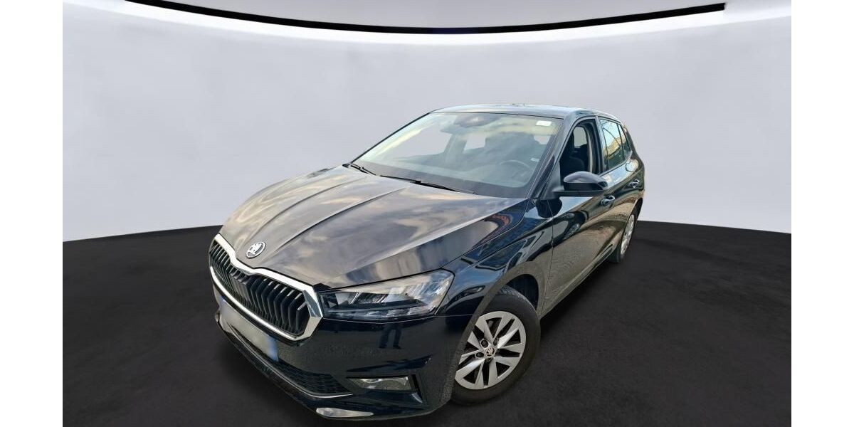Skoda Fabia 60.920 km 14.929 &euro; Hagen 58091