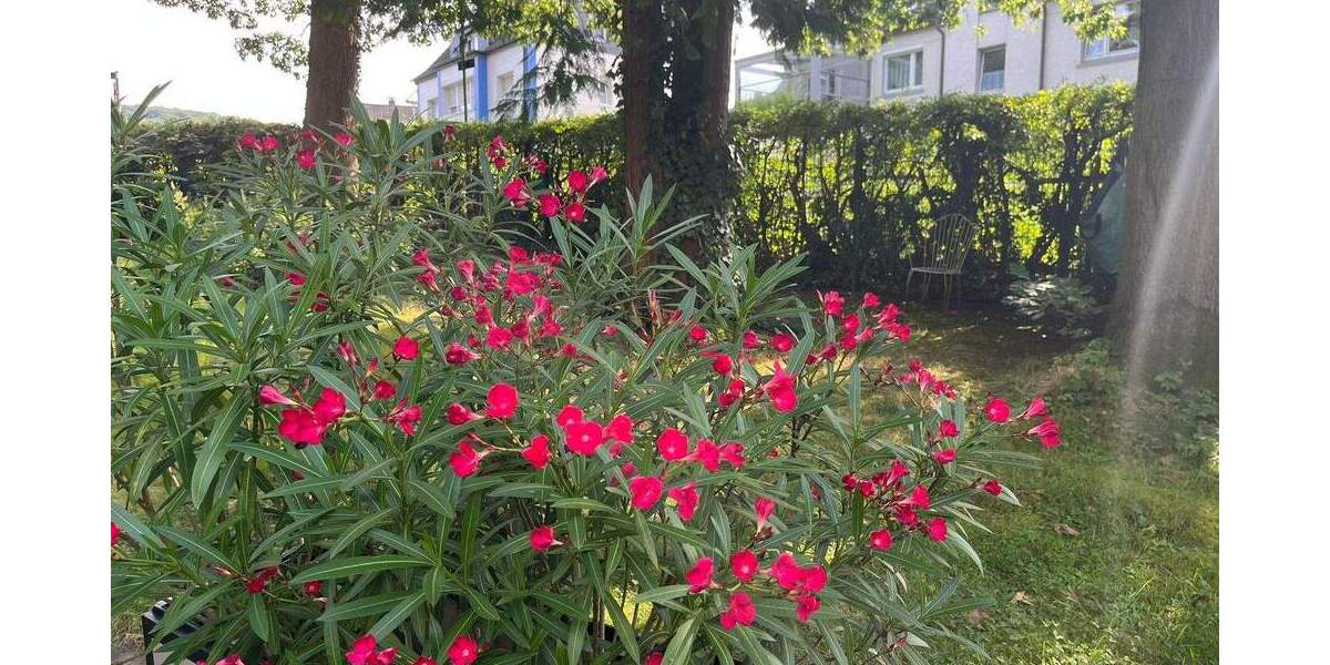 Grundstück Hagen Eilpe - 124.000&euro; | Angebot:23952218