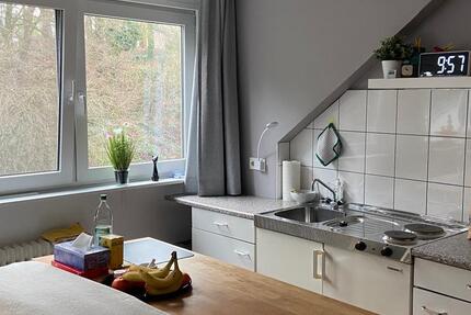 Klein aber fein - Teilmöbliertes Apartment in wunderschöner Lage von Volmarstein! 1 zimmer