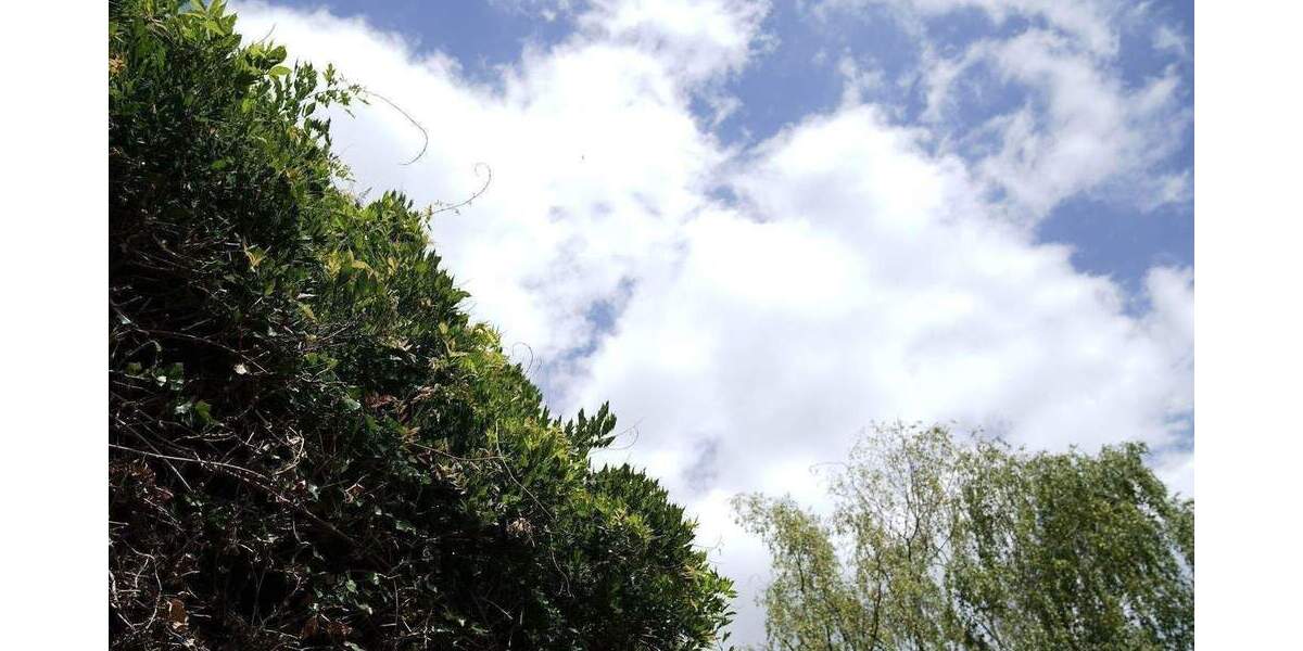 historisches Fachwerkhaus im alten Ortskern von Düsseldorf - Urdenbach 4 zimmer