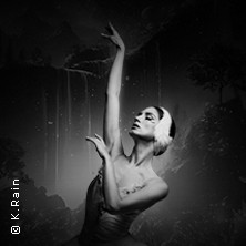 Grand Classic Ballet - Schwanensee - Jenseits der Bühne mit live Streichquartett 07.04.2026 Schauplatz Langenfeld GmbH