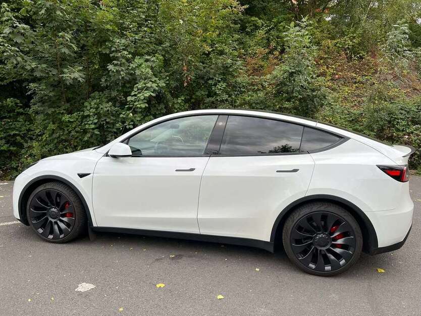 Model Y