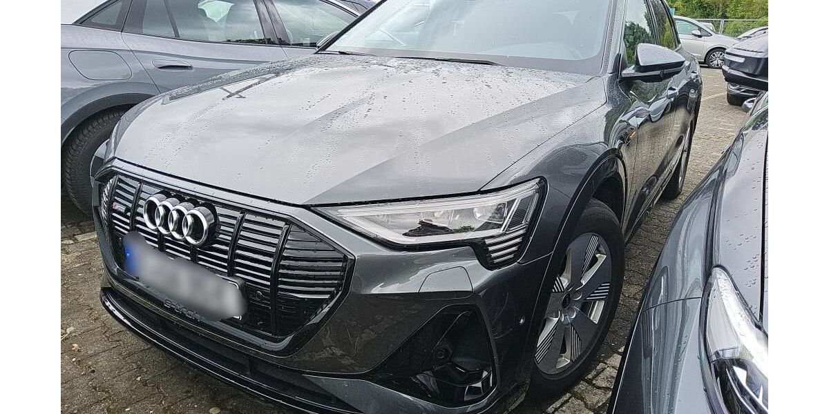 Audi e-tron 82.539 km 34.359 &euro; Hagen 58091