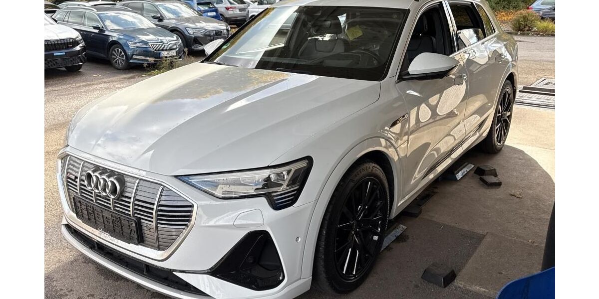 Audi e-tron 69.511 km 34.759 &euro; Hagen 58091