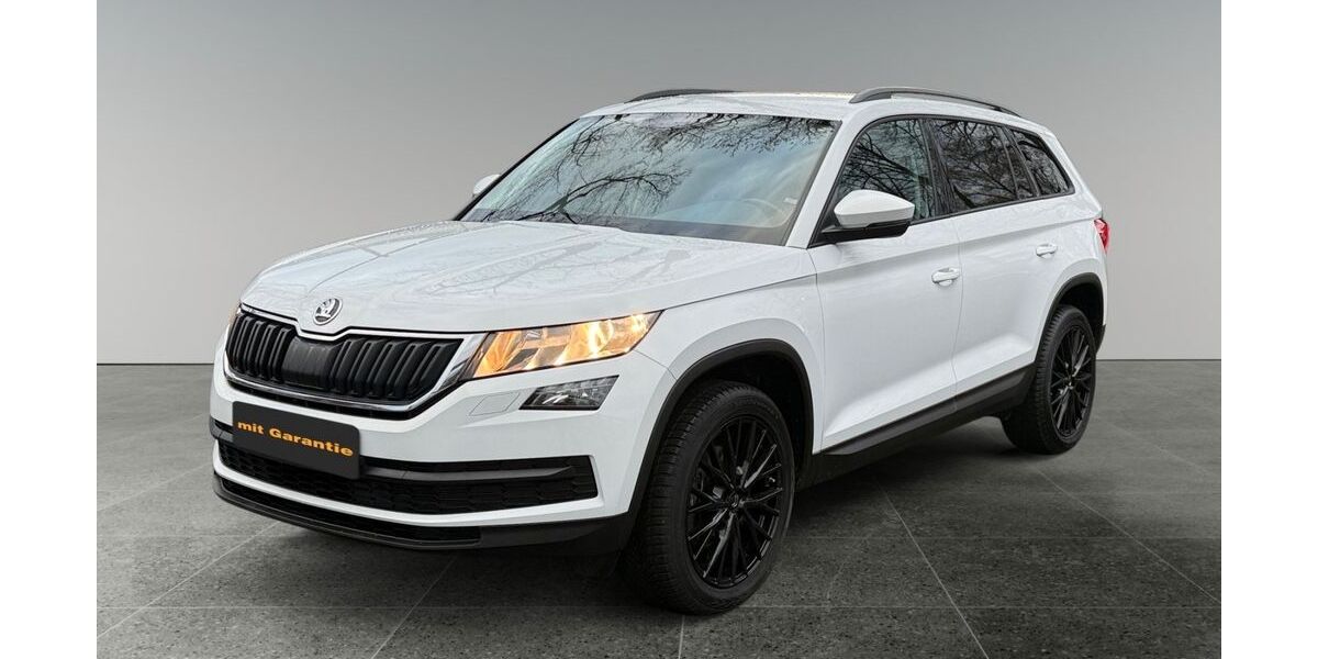 Skoda Kodiaq 199.562 km 11.990 &euro; Düsseldorf 40599