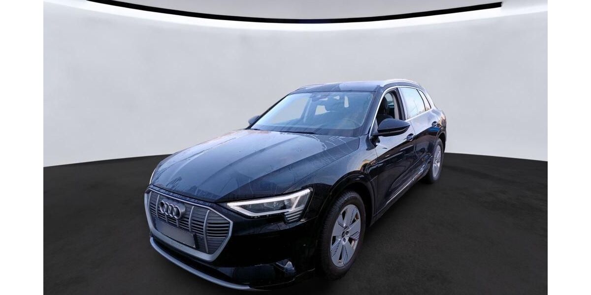Audi e-tron 28.755 km 28.394 &euro; Hagen 58091