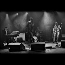 The Doors Tribute Band - The Doors Rising 15.05.2026 LOGO Hamburg