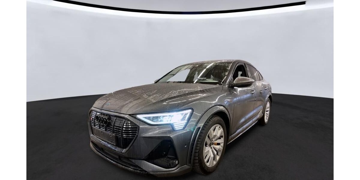 Audi e-tron 67.282 km 42.759 &euro; Hagen 58091