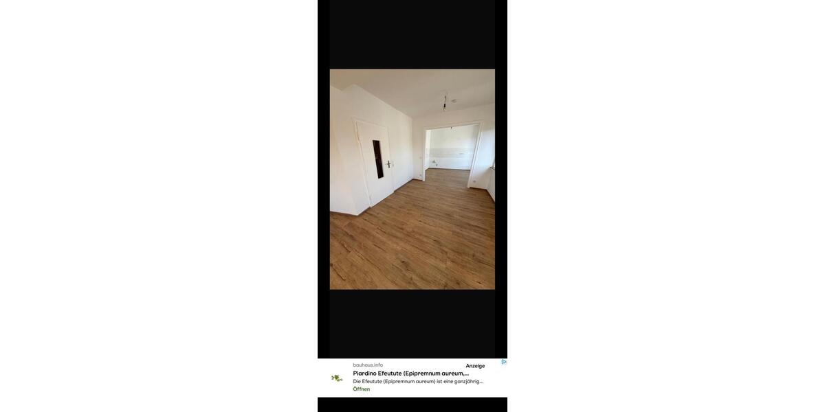 Etagenwohnung Wuppertal Gemarkung Langerfeld - 2 Zimmer, 65 m&sup2;, 580&euro; | Angebot:26413877