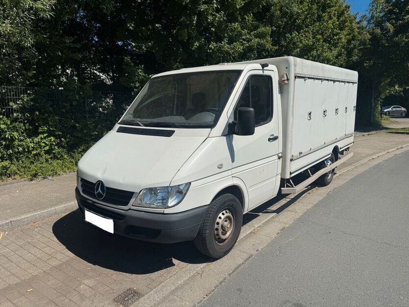 Sprinter