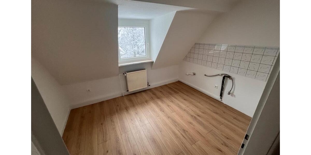 Schön geschnittene & frisch sanierte DG-Wohnung mit Gartennutzung 2 zimmer