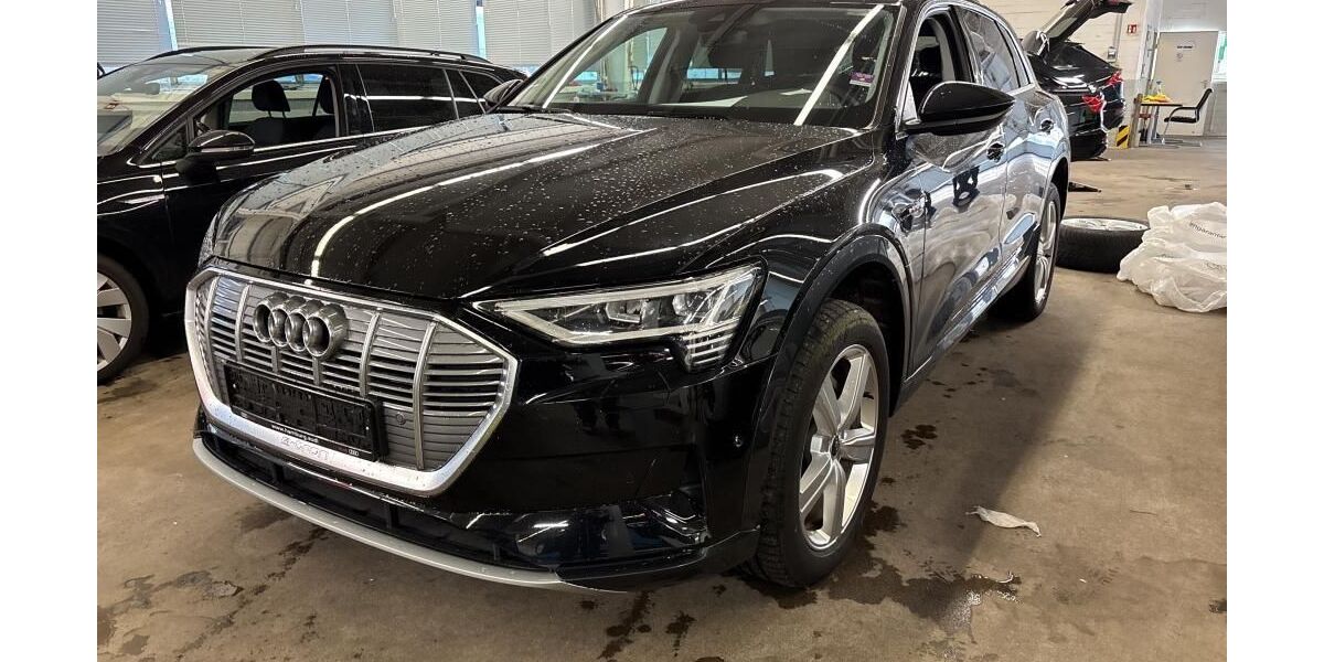 Audi e-tron 81.523 km 29.734 &euro; Hagen 58091