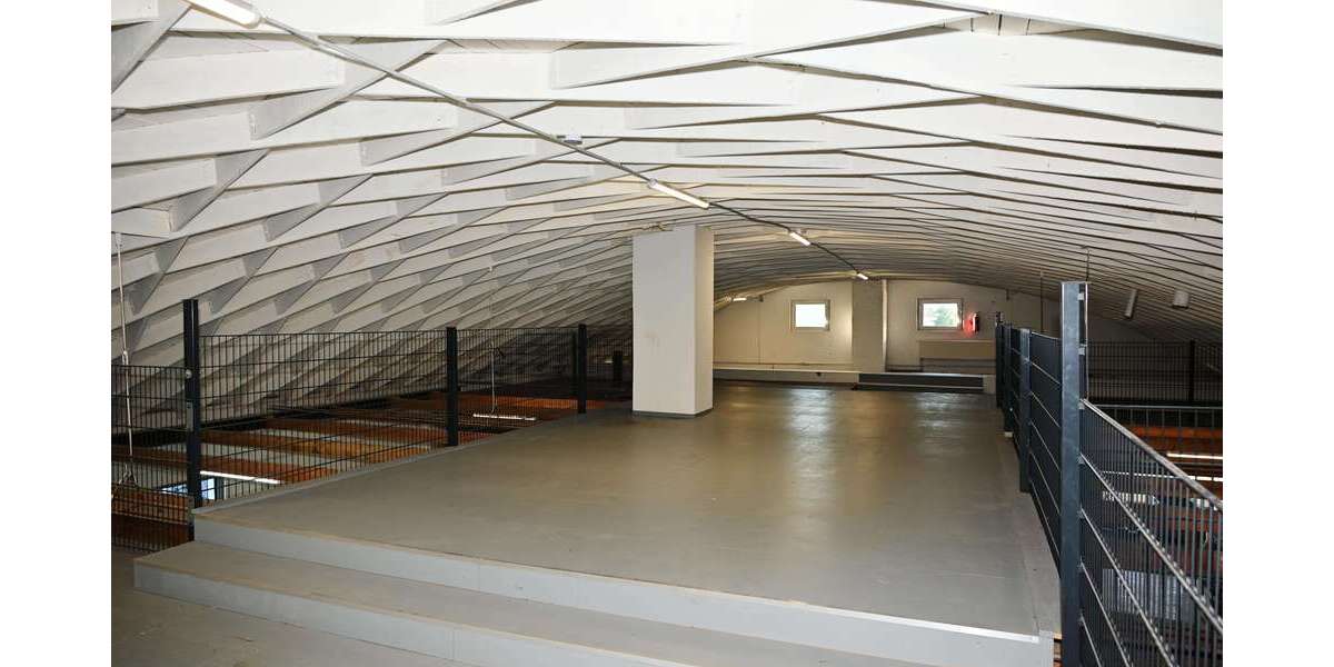 Halle in Solingen 695.000 € 500 m² zimmer