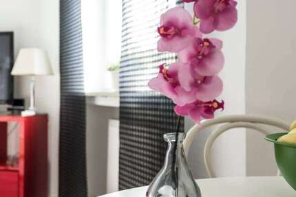 Wohnen auf Zeit in Düsseldorf 1.600 € 2 zimmer