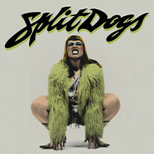 SPLIT DOGS 05.11.2026 Ratinger Hof